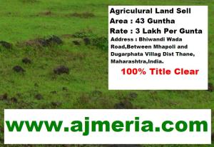 Mohili-Property-Real Estate-India Property-Properties India-Property-Bhiwandi
